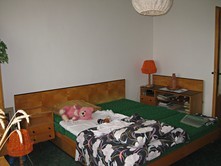 Prodej RD Alojzov !!!SLEVA!!! - fotogalerie