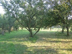 RD Čelčice